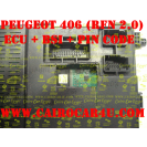 PEUGEOT 406 IAW48P2.XX and BSI paired Firmware