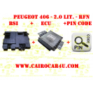 PEUGEOT 406 IAW48P2.XX and BSI paired Firmware